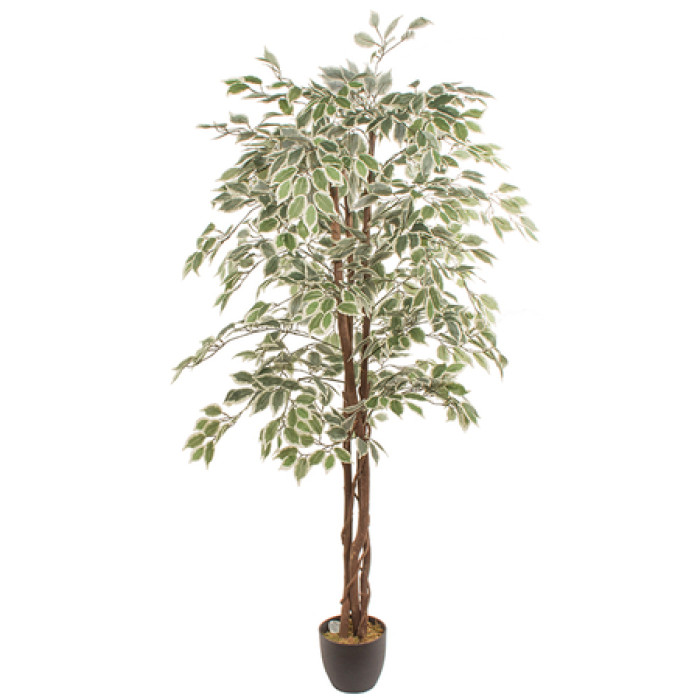 Planta artificial FICUS 1.80m